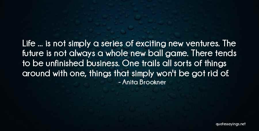 New Business Ventures Quotes By Anita Brookner New Business Ventures Quotes By Anita Brookner