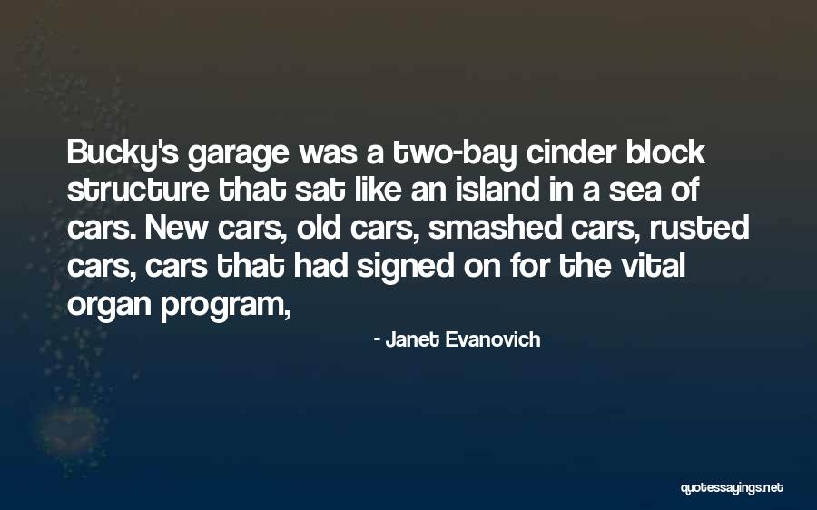 New Cars Quotes By Janet Evanovich New Cars Quotes By Janet Evanovich