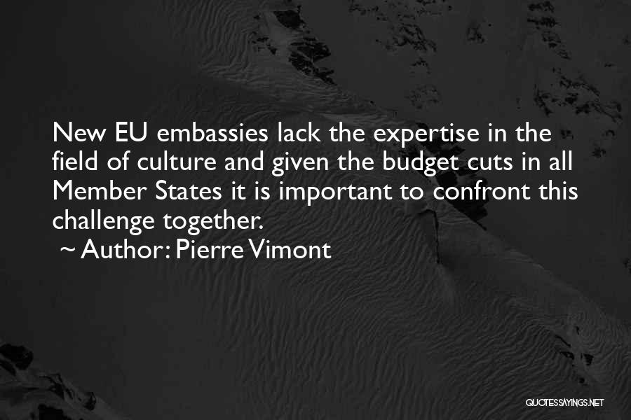 New Challenges Quotes By Pierre Vimont