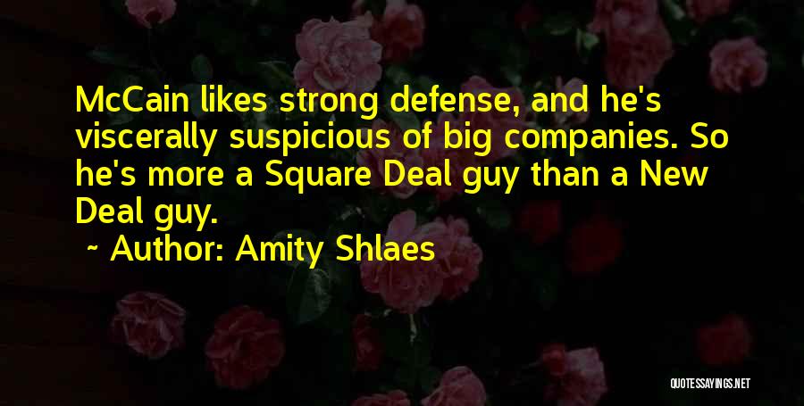 New Companies Quotes By Amity Shlaes