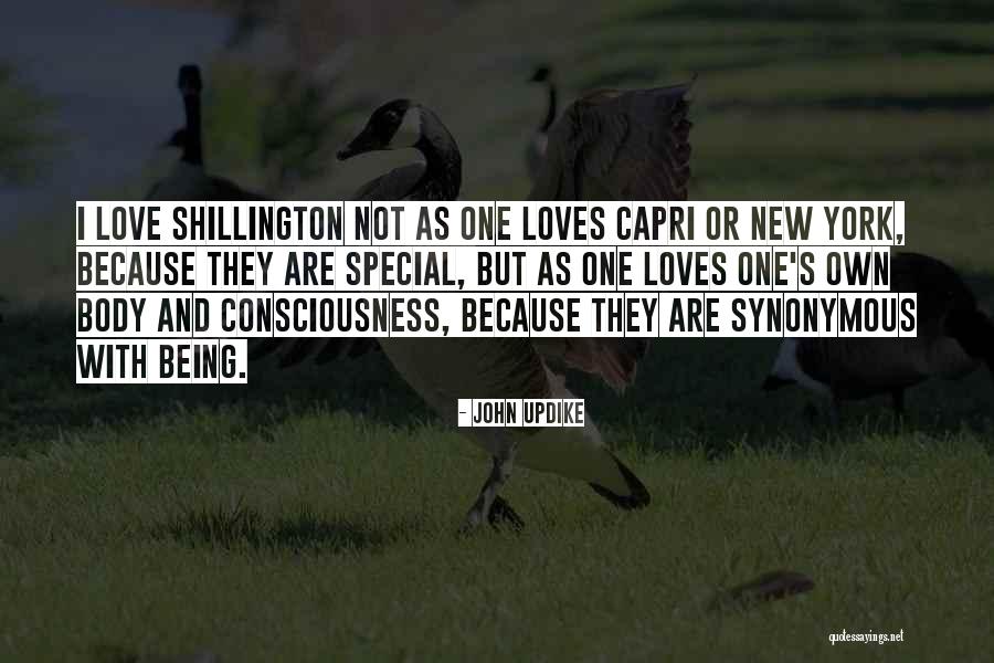 New Consciousness Quotes By John Updike New Consciousness Quotes By John Updike