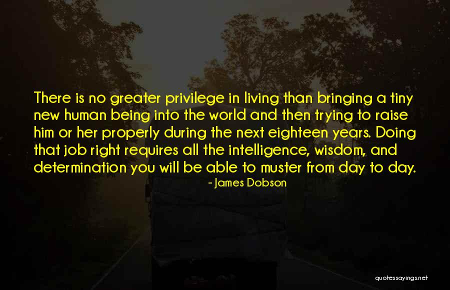 New Day New Job Quotes By James Dobson