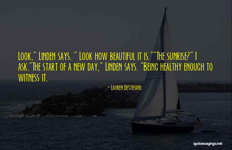 New Day New Look Quotes By Lauren DeStefano New Day New Look Quotes By Lauren DeStefano