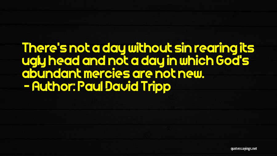 New Day New Mercies Quotes By Paul David Tripp