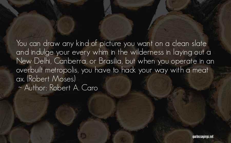 New Delhi Quotes By Robert A. Caro