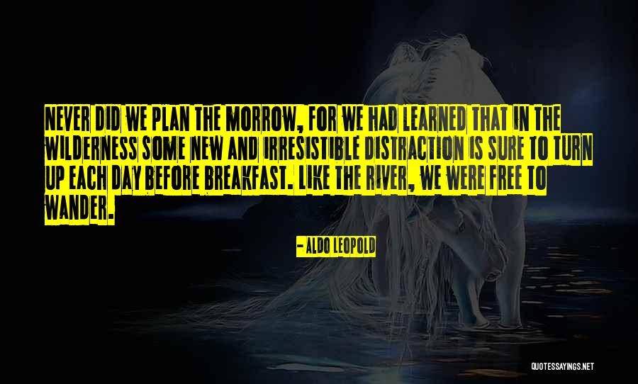 New Each Day Quotes By Aldo Leopold New Each Day Quotes By Aldo Leopold
