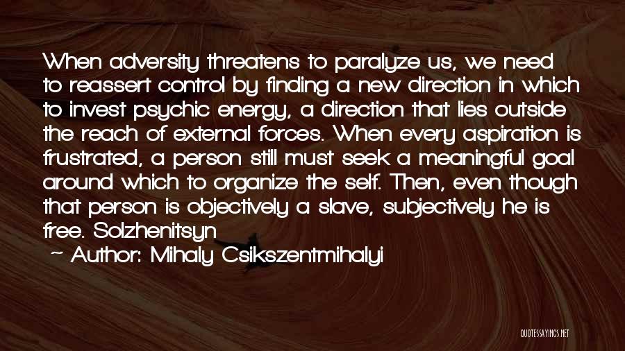 New Energy Quotes By Mihaly Csikszentmihalyi