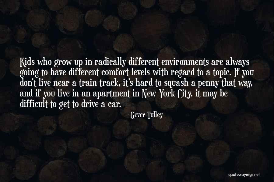 New Environments Quotes By Gever Tulley