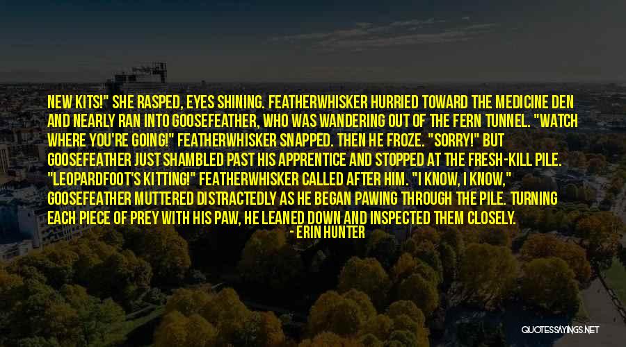New Eyes Quotes By Erin Hunter New Eyes Quotes By Erin Hunter