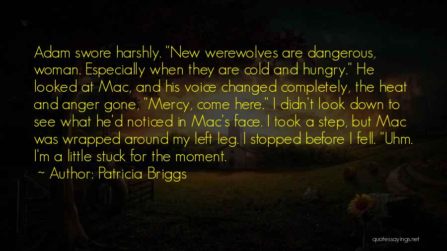 New Face Look Quotes By Patricia Briggs