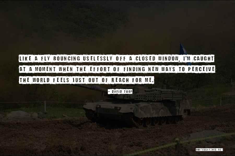 New Feels Quotes By David Toop New Feels Quotes By David Toop