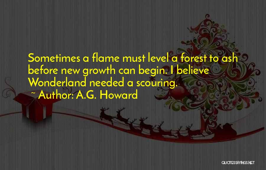 New Flame Quotes By A.G. Howard
