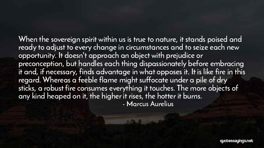 New Flames Quotes By Marcus Aurelius New Flames Quotes By Marcus Aurelius