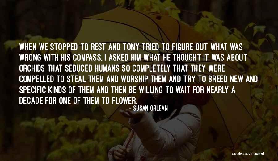 New Flower Quotes By Susan Orlean New Flower Quotes By Susan Orlean