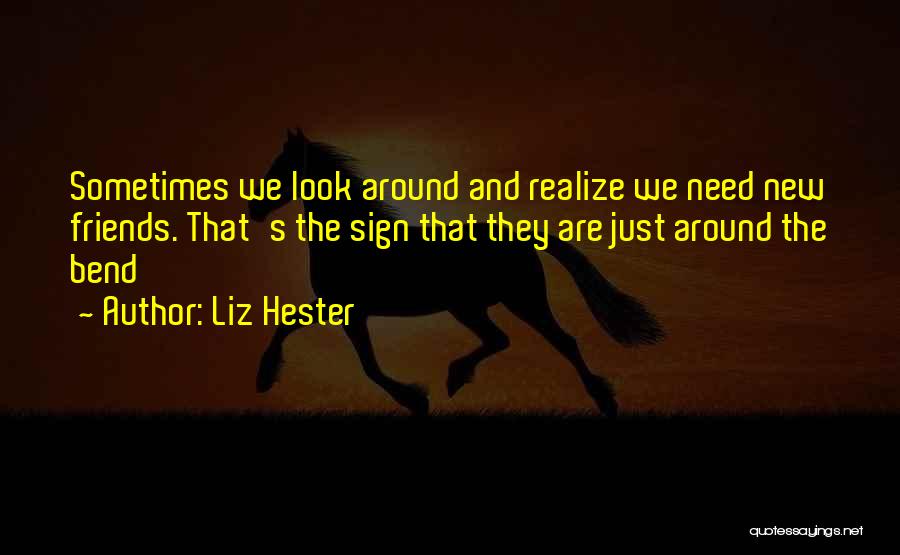 New Friends Quotes By Liz Hester