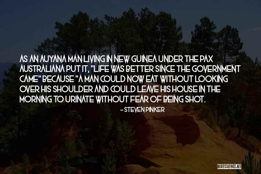 New Guinea Quotes By Steven Pinker