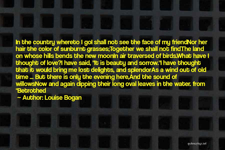 New Hair Color Quotes By Louise Bogan