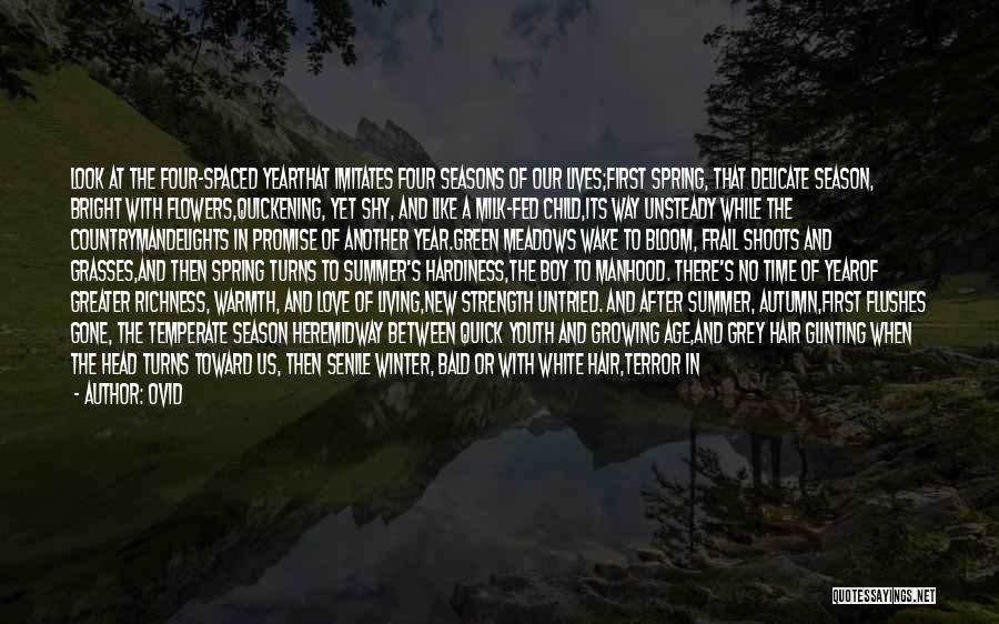 New Hair Look Quotes By Ovid New Hair Look Quotes By Ovid