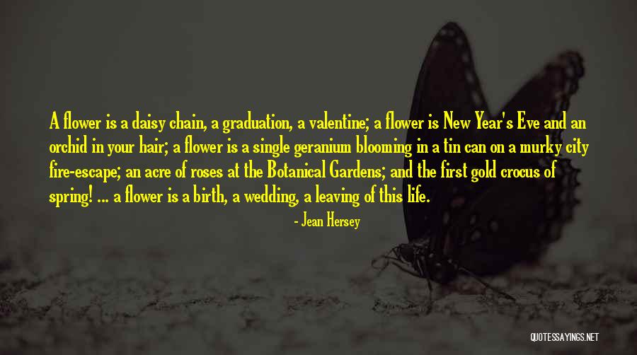 New Hair New Life Quotes By Jean Hersey New Hair New Life Quotes By Jean Hersey