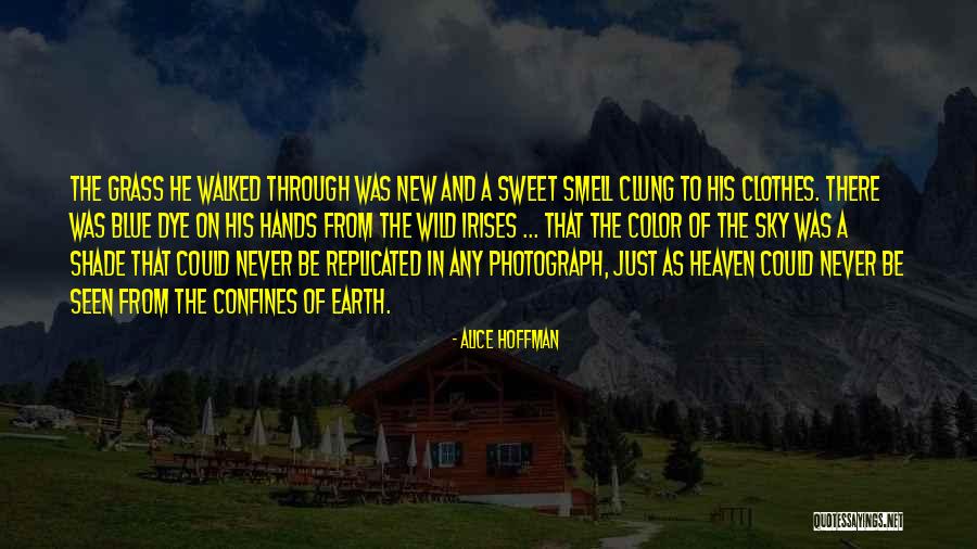 New Heaven New Earth Quotes By Alice Hoffman New Heaven New Earth Quotes By Alice Hoffman