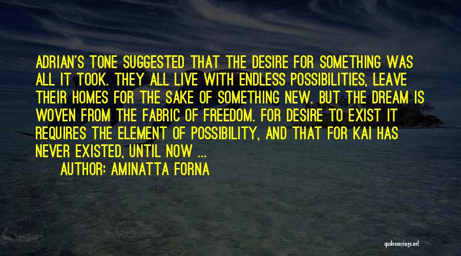 New Homes Quotes By Aminatta Forna