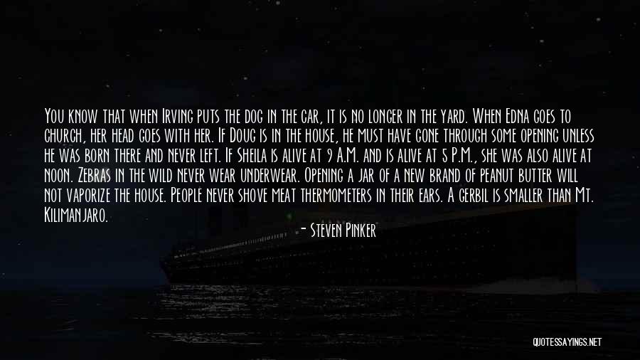 New House Opening Quotes By Steven Pinker