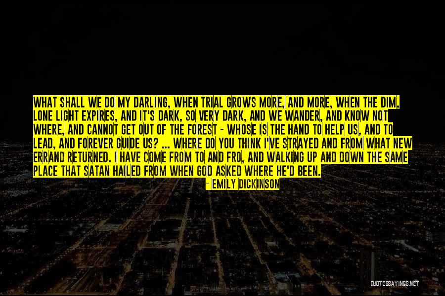 New In Town John Mulaney Quotes By Emily Dickinson New In Town John Mulaney Quotes By Emily Dickinson
