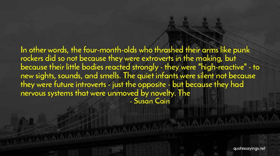 New Infants Quotes By Susan Cain New Infants Quotes By Susan Cain