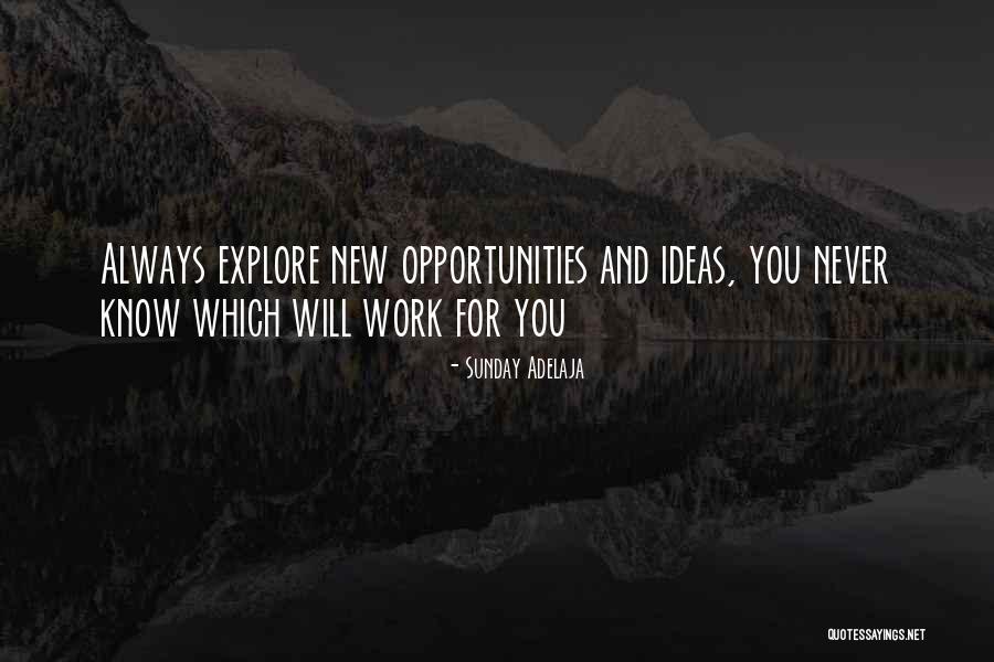 New Job Opportunities Quotes By Sunday Adelaja