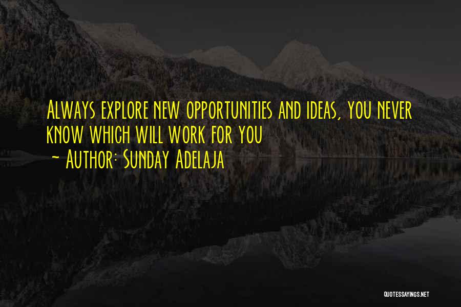 New Job Opportunity Quotes By Sunday Adelaja