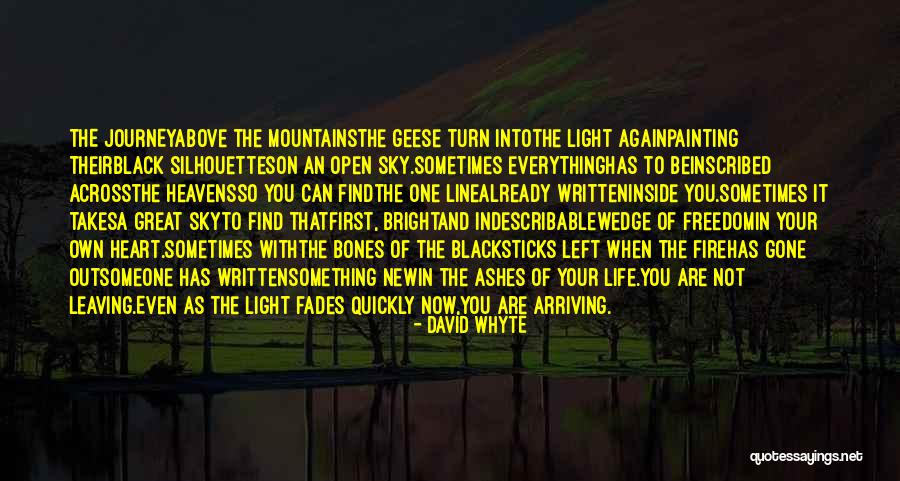 New Journey Of Life Quotes By David Whyte New Journey Of Life Quotes By David Whyte