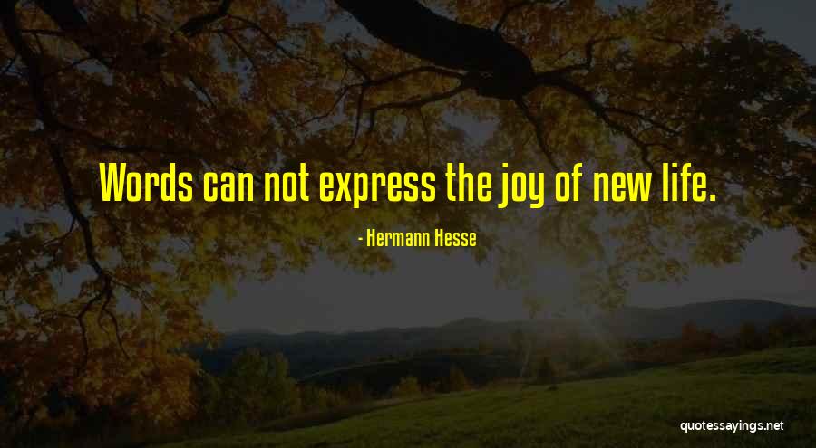 New Joy Quotes By Hermann Hesse New Joy Quotes By Hermann Hesse