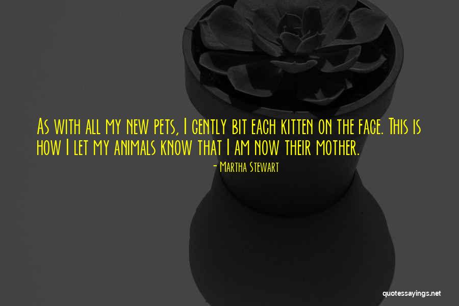 New Kitten Quotes By Martha Stewart New Kitten Quotes By Martha Stewart