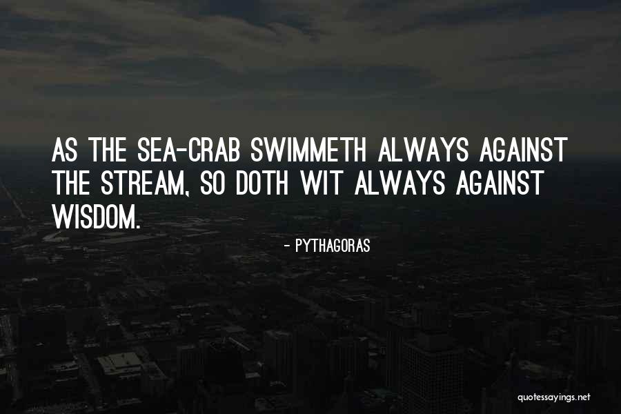 New Learnings Quotes By Pythagoras