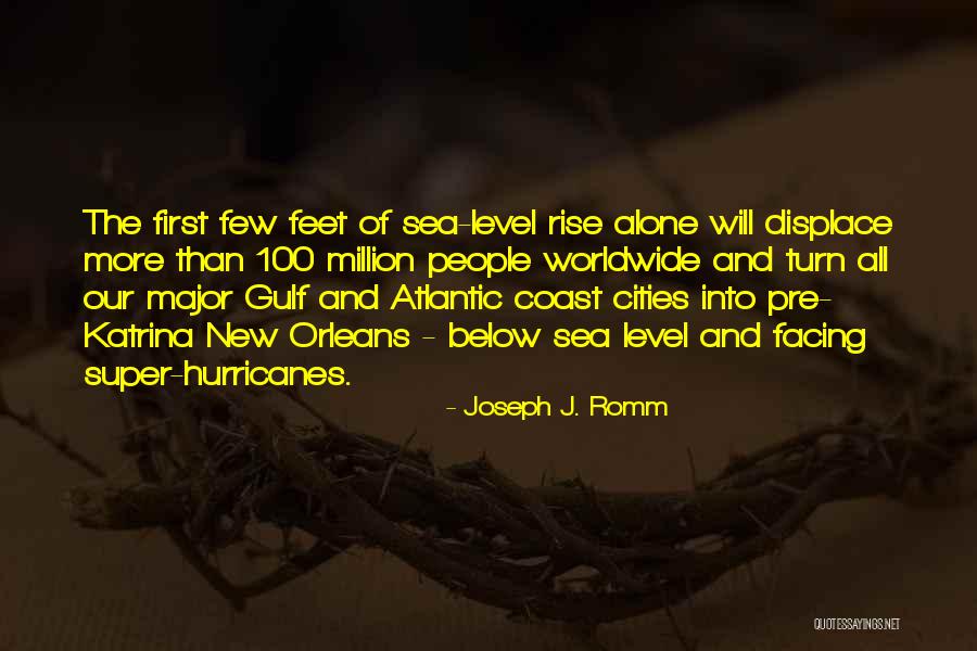 New Level Quotes By Joseph J. Romm