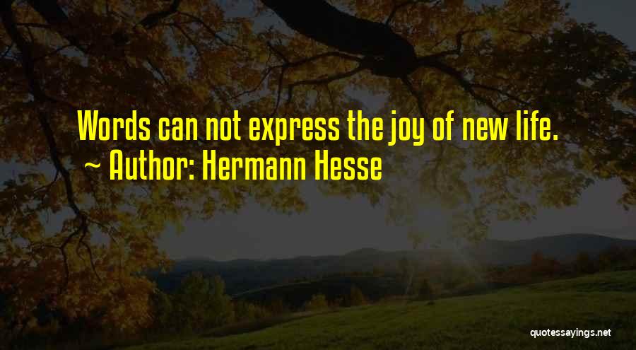 New Life Baby Quotes By Hermann Hesse