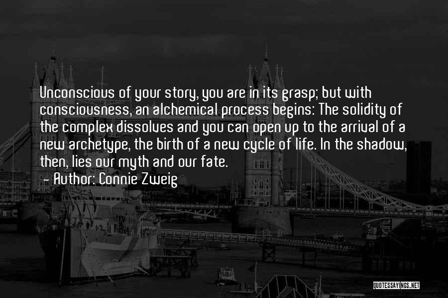 New Life Begins Quotes By Connie Zweig