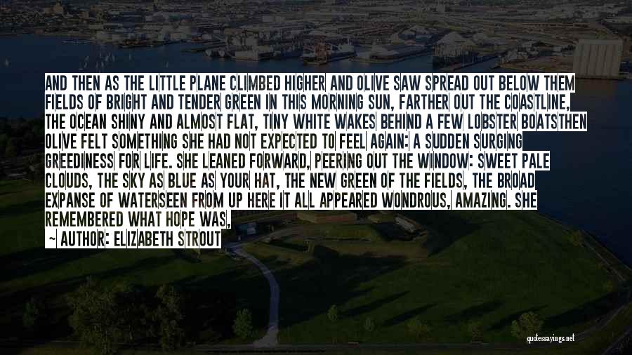 New Life Hope Quotes By Elizabeth Strout
