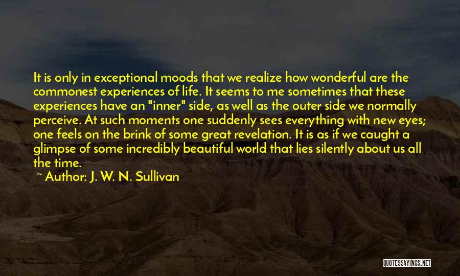 New Life New Me Quotes By J. W. N. Sullivan