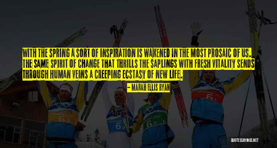 New Life Spring Quotes By Marah Ellis Ryan New Life Spring Quotes By Marah Ellis Ryan
