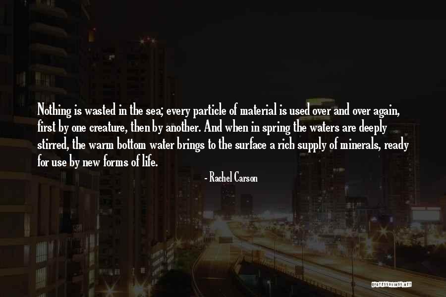 New Life Spring Quotes By Rachel Carson New Life Spring Quotes By Rachel Carson