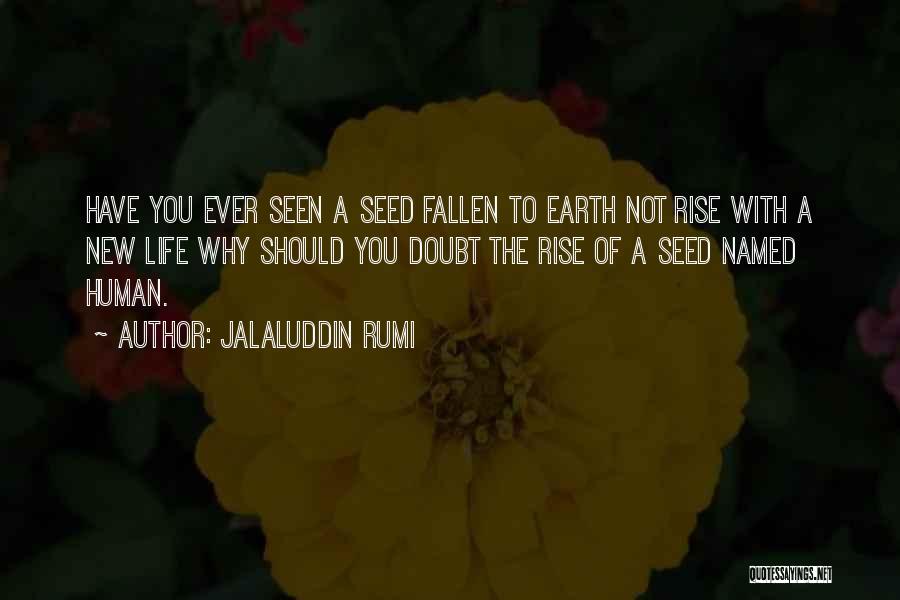 New Life With You Quotes By Jalaluddin Rumi