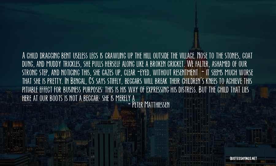 New Life Without You Quotes By Peter Matthiessen