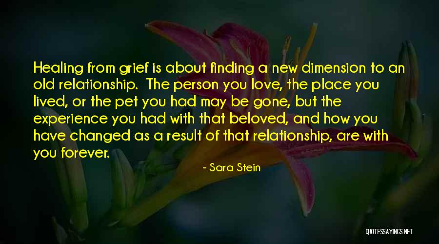 New Love And Old Love Quotes By Sara Stein