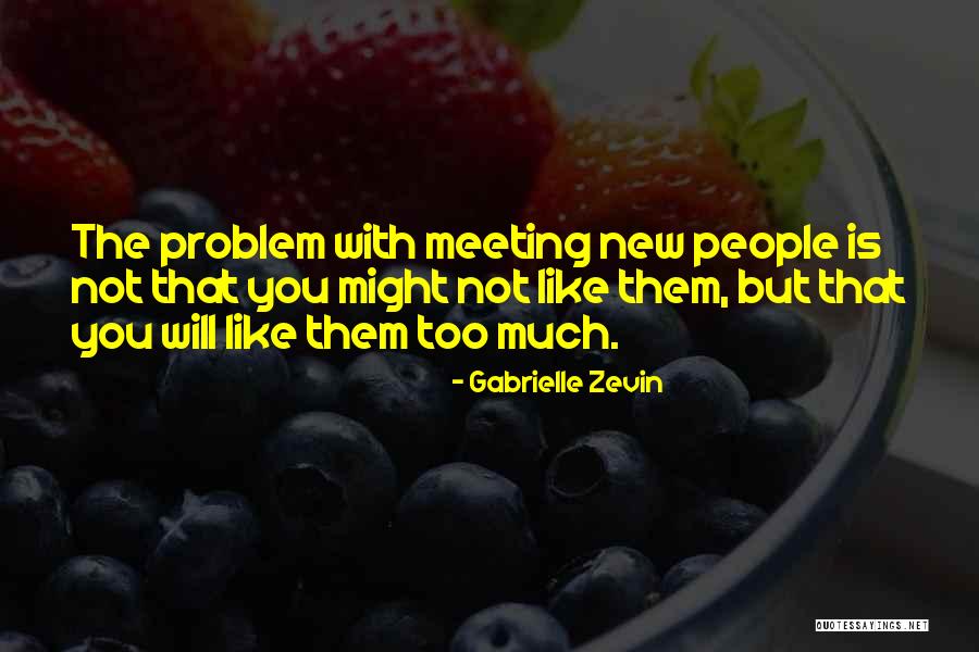 New Meeting Quotes By Gabrielle Zevin New Meeting Quotes By Gabrielle Zevin