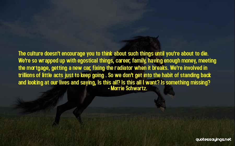 New Meeting Quotes By Morrie Schwartz.