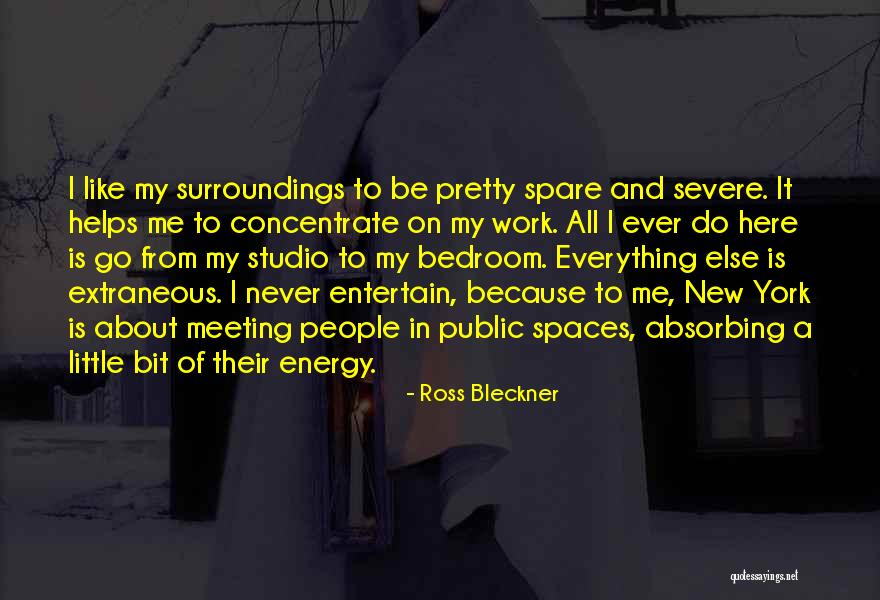 New Meeting Quotes By Ross Bleckner