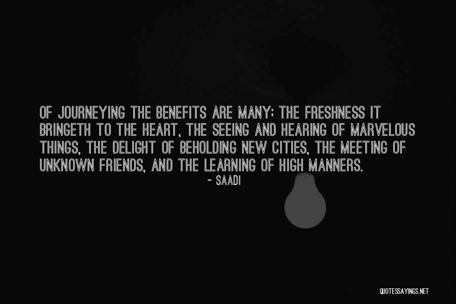 New Meeting Quotes By Saadi