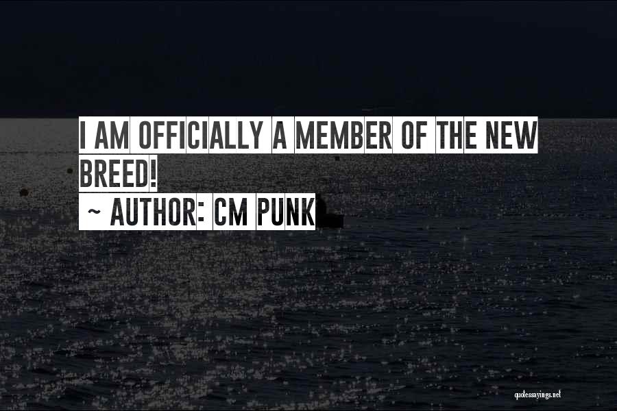 New Member Quotes By CM Punk