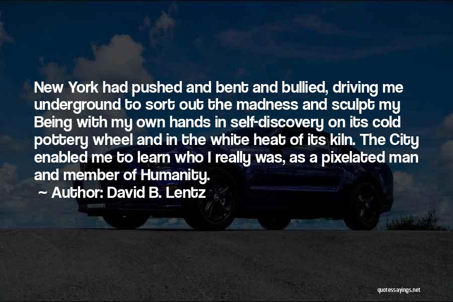 New Member Quotes By David B. Lentz